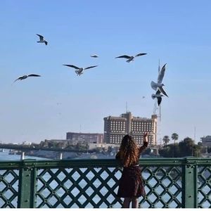 Meet your Posher, Ring